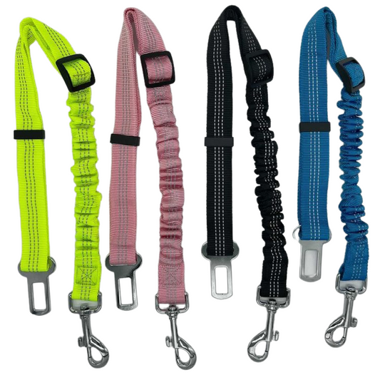 Dog Seat Belt