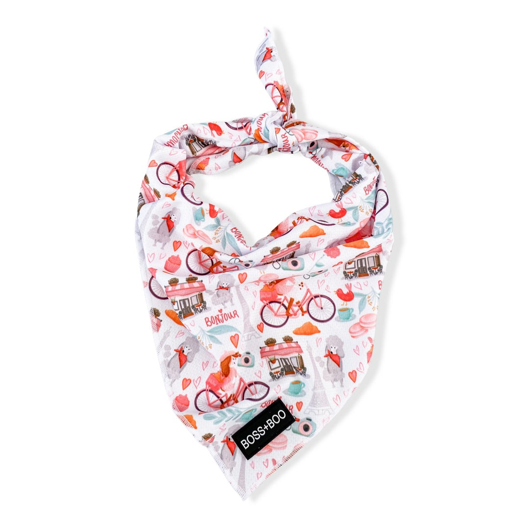 Cooling Bandanas Boss + Boo