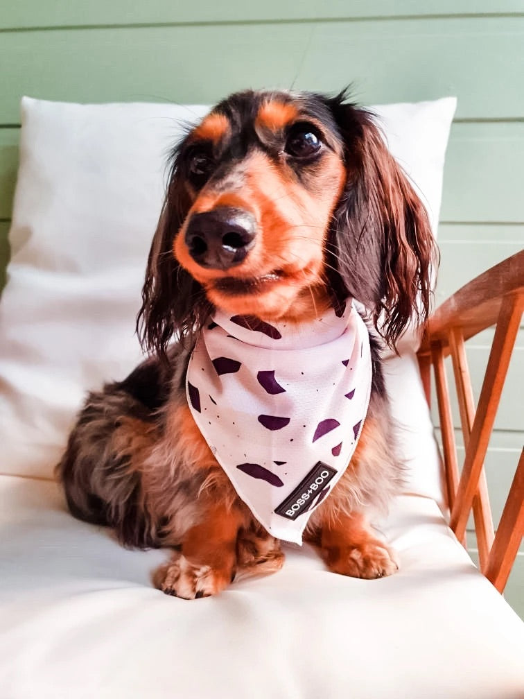 Cooling Bandanas Boss + Boo