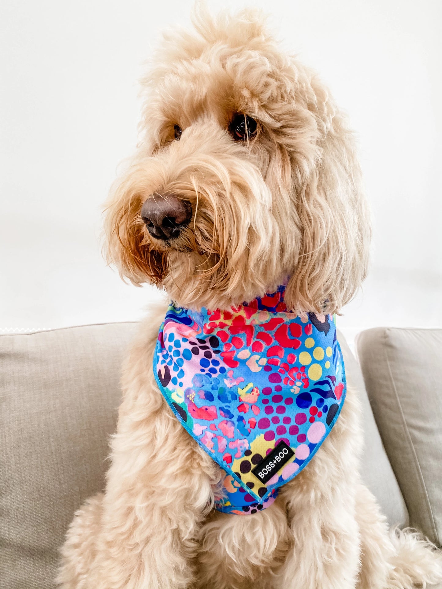 Cooling Bandanas Boss + Boo