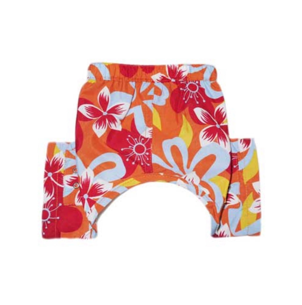 Pooch Outfitters Swin Trunk - Male