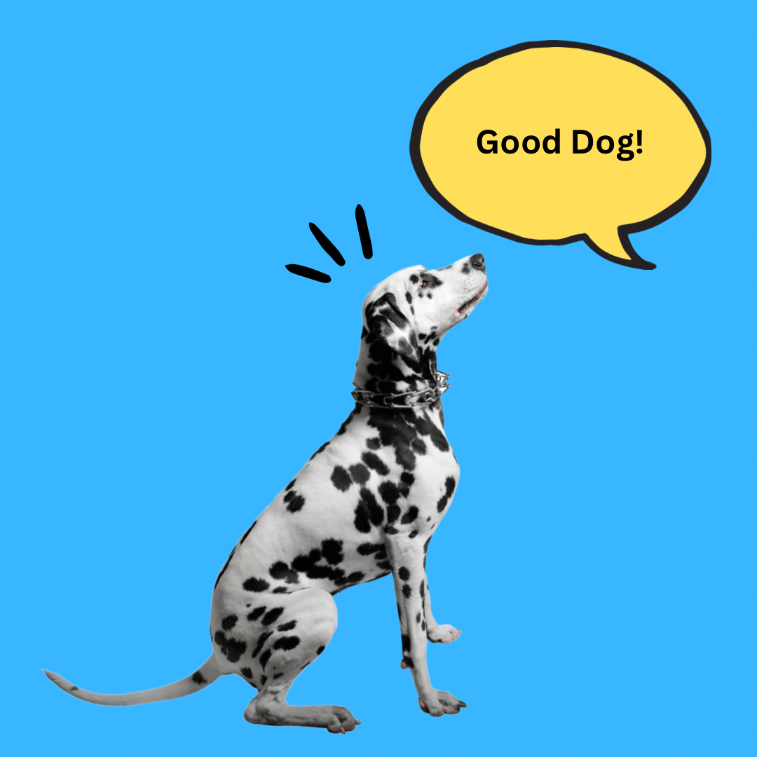 Good Dog! Training Treats Bag