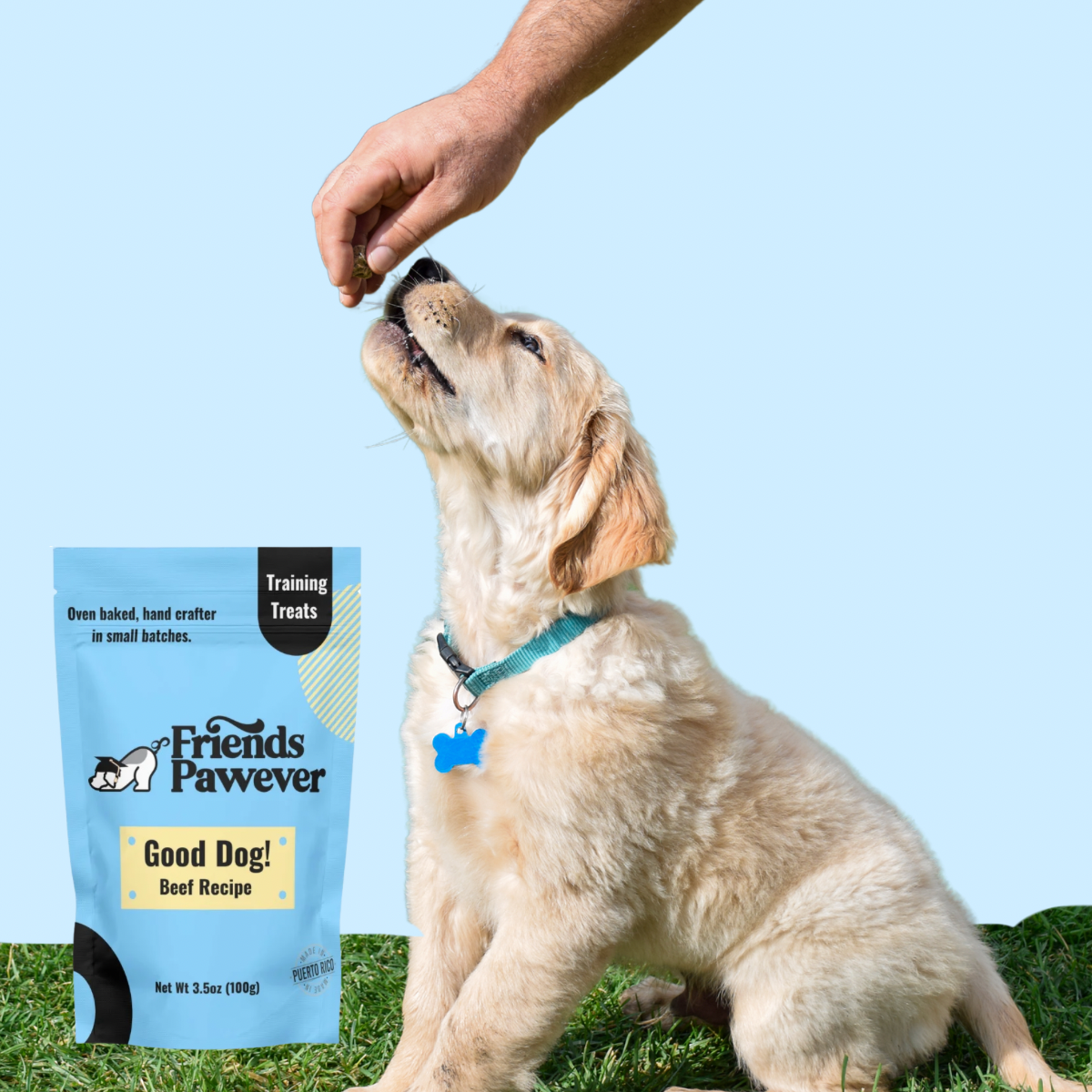 Dog receiving a Friends Pawever Good Dog training treat during training