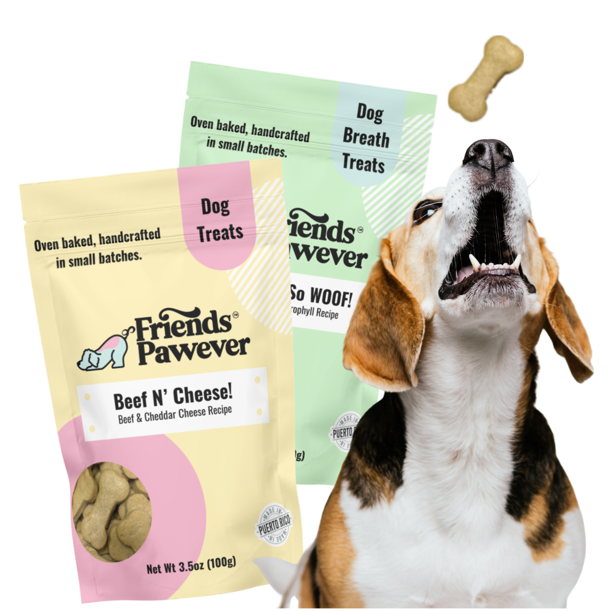 Friends Pawever natural dog treats with a dog and handcrafted treat bags