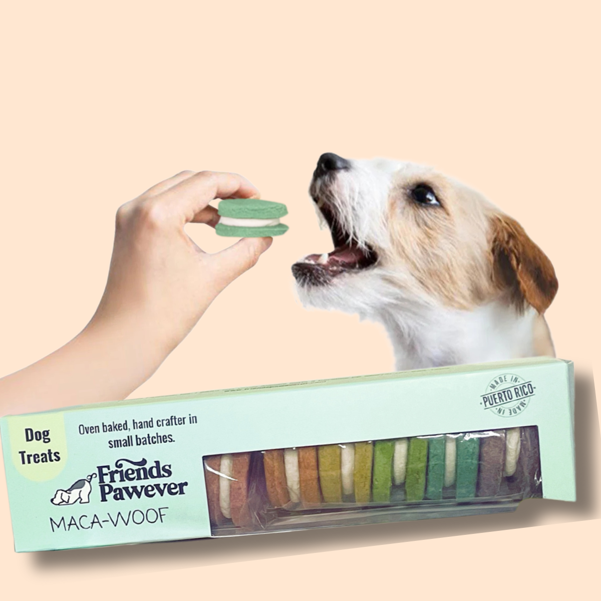 Friends Pawever Maca-Woof yogurt dog treats with a dog receiving a treat