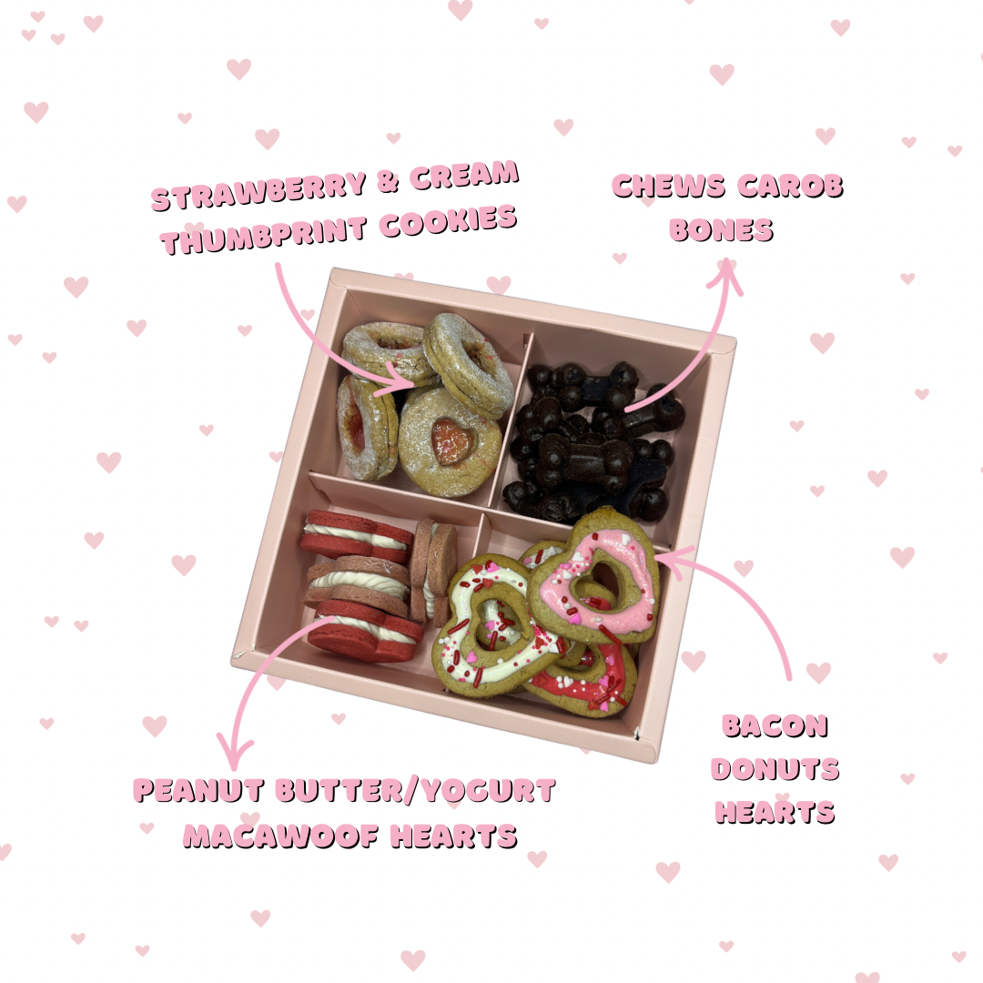 Valentine’s Day Assortment Treats Box