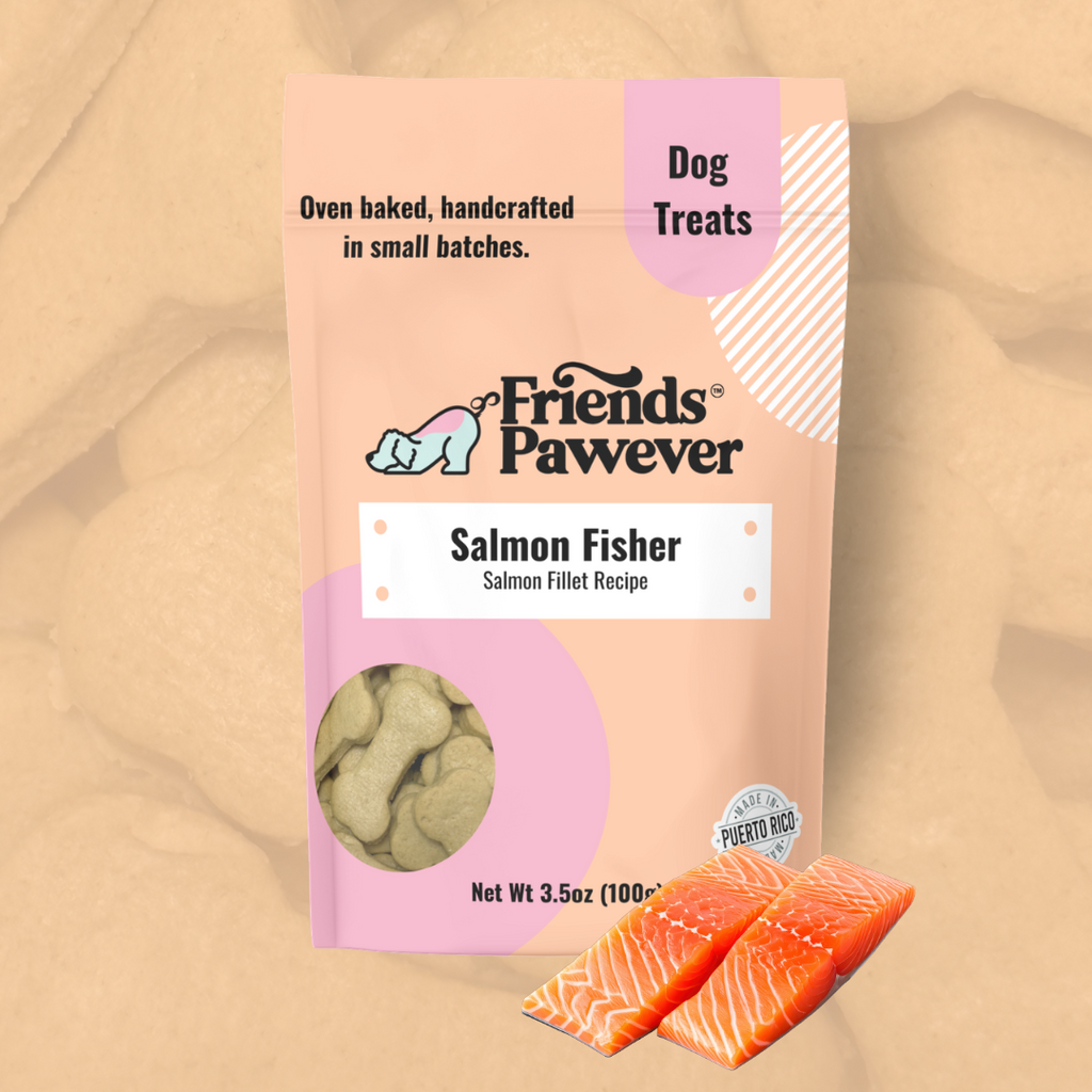 Friends Pawever Salmon Fisher salmon dog treats on a peach background