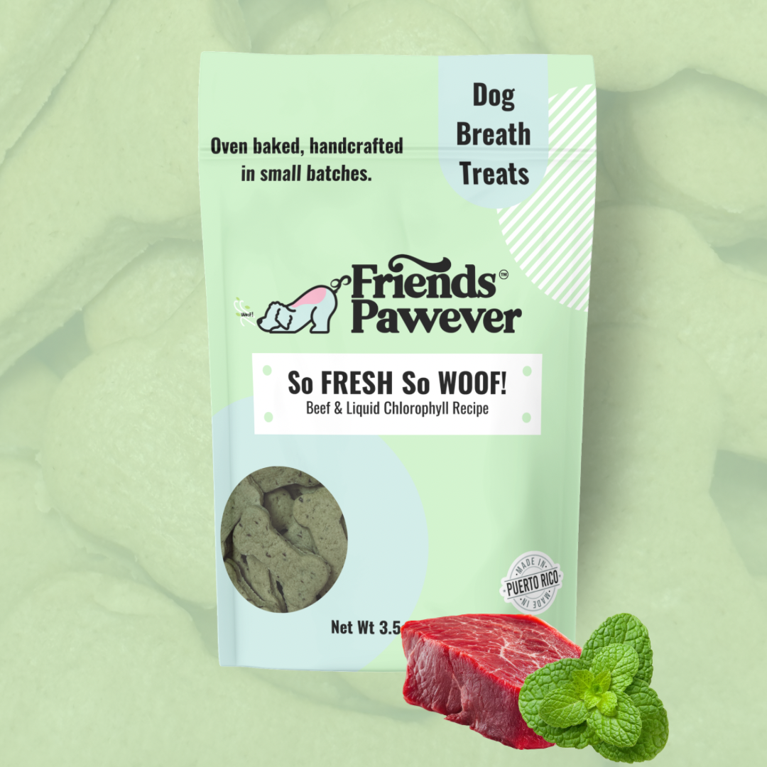 Friends Pawever So Fresh So Woof fresh breath dog treats on a green background