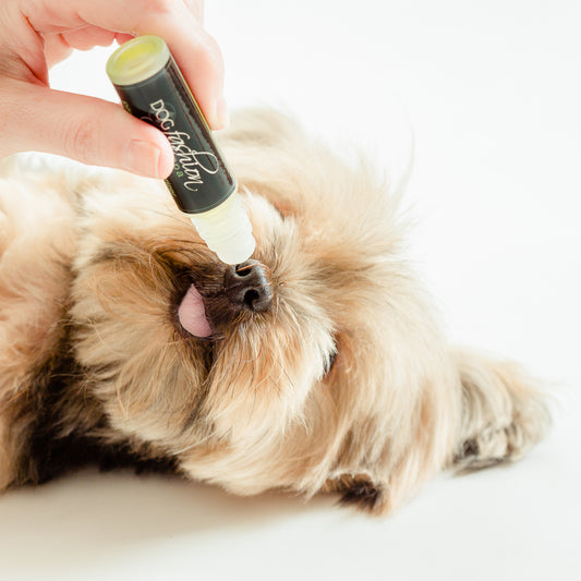DOG FASHION SPA Dog Paw+Nose Moisturizer