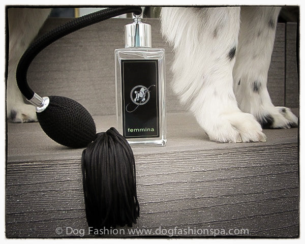 DOG FASHION SPA Female Perfume Femmina